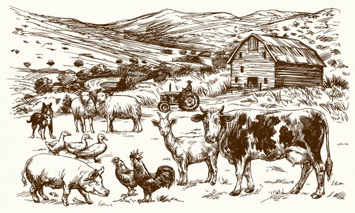 Animal Farm. Hand drawn vector illustration.