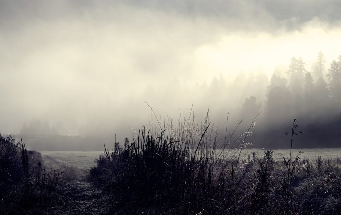 An image of a foggy landscape evocative of the poem Foggy Nights